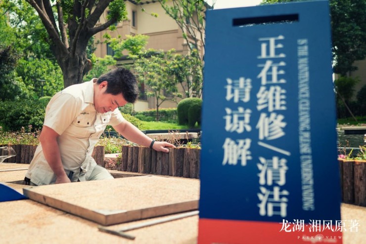 龙湖物业:高效与创新服务成就高满意度